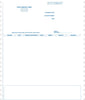 Peachtree Continuous Statement Form